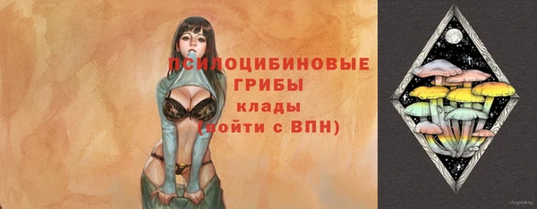 ГАЛЛЮЦИНОГЕННЫЕ ГРИБЫ Аркадак