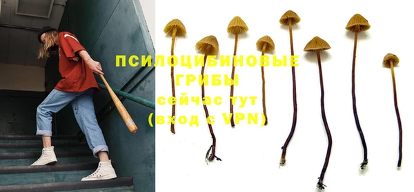 шишки Армянск