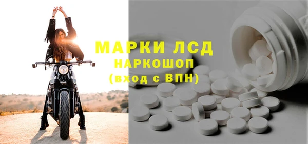 ГАЛЛЮЦИНОГЕННЫЕ ГРИБЫ Аркадак