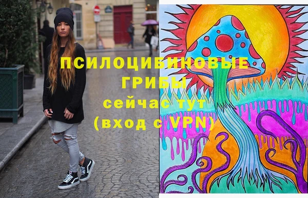 ГАЛЛЮЦИНОГЕННЫЕ ГРИБЫ Аркадак