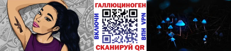 Псилоцибиновые грибы Cubensis  Рыльск 